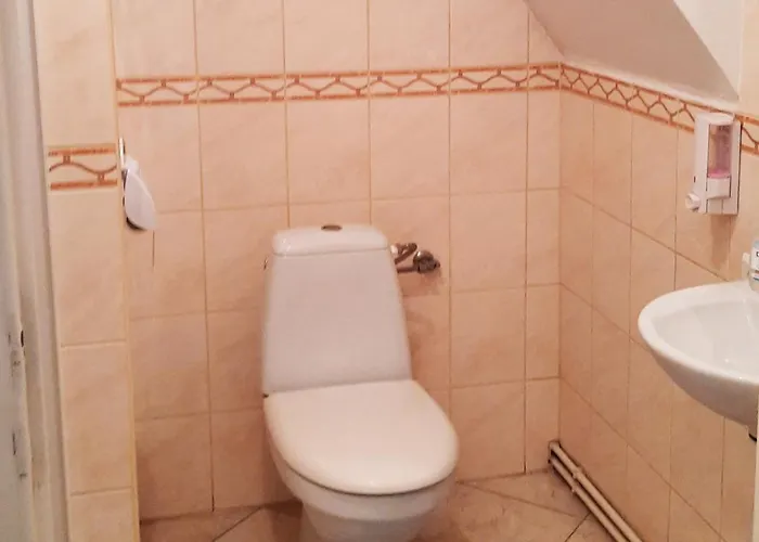 Hetmanski Nowy Wisnicz